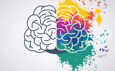 Executive Function – The Brain’s CEO